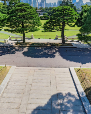 청와대 야간개장