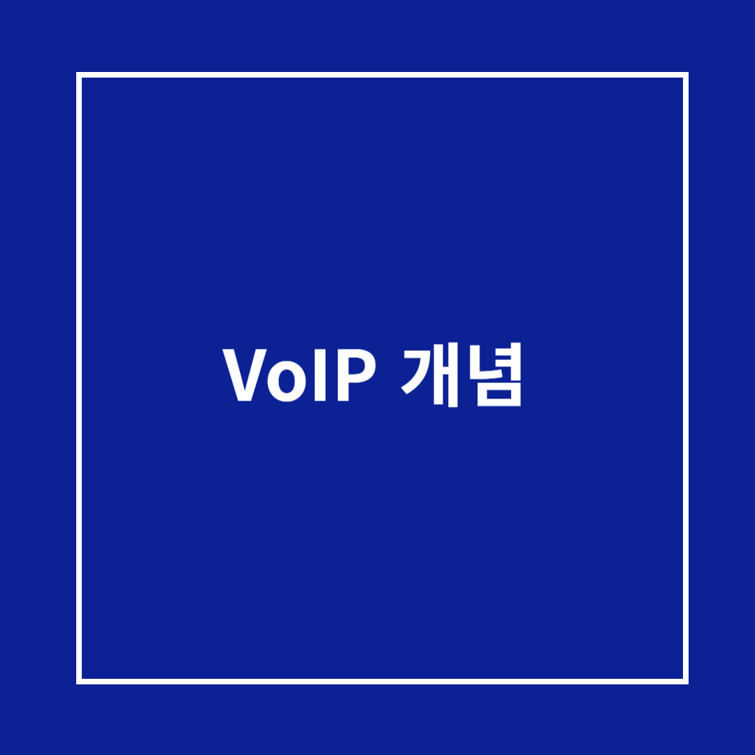 VoIP 개념