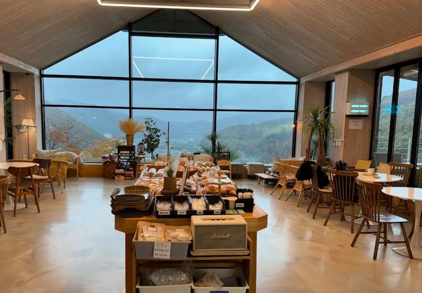 강원도 산양 체험 가능한 곳? 몽토랑목장 후기 정리해봤어요