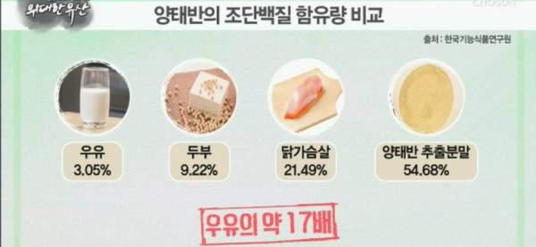 양태반이란? 양태반 효능 및 부작용&amp;#44; 하루 섭취량 까지!