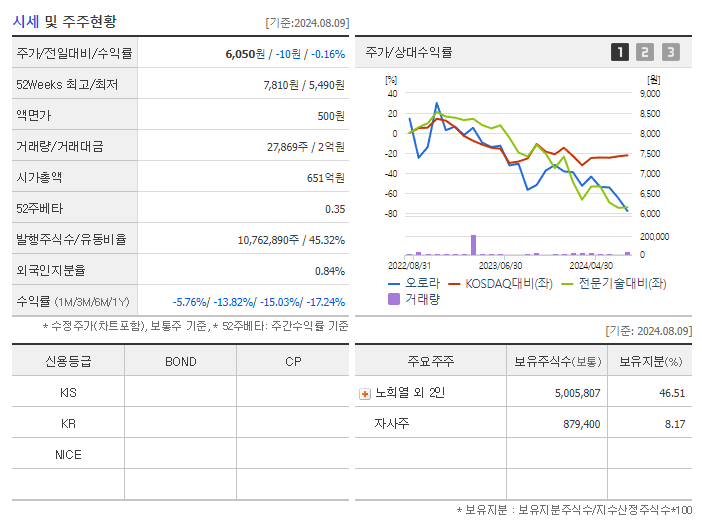오로라_기업개요