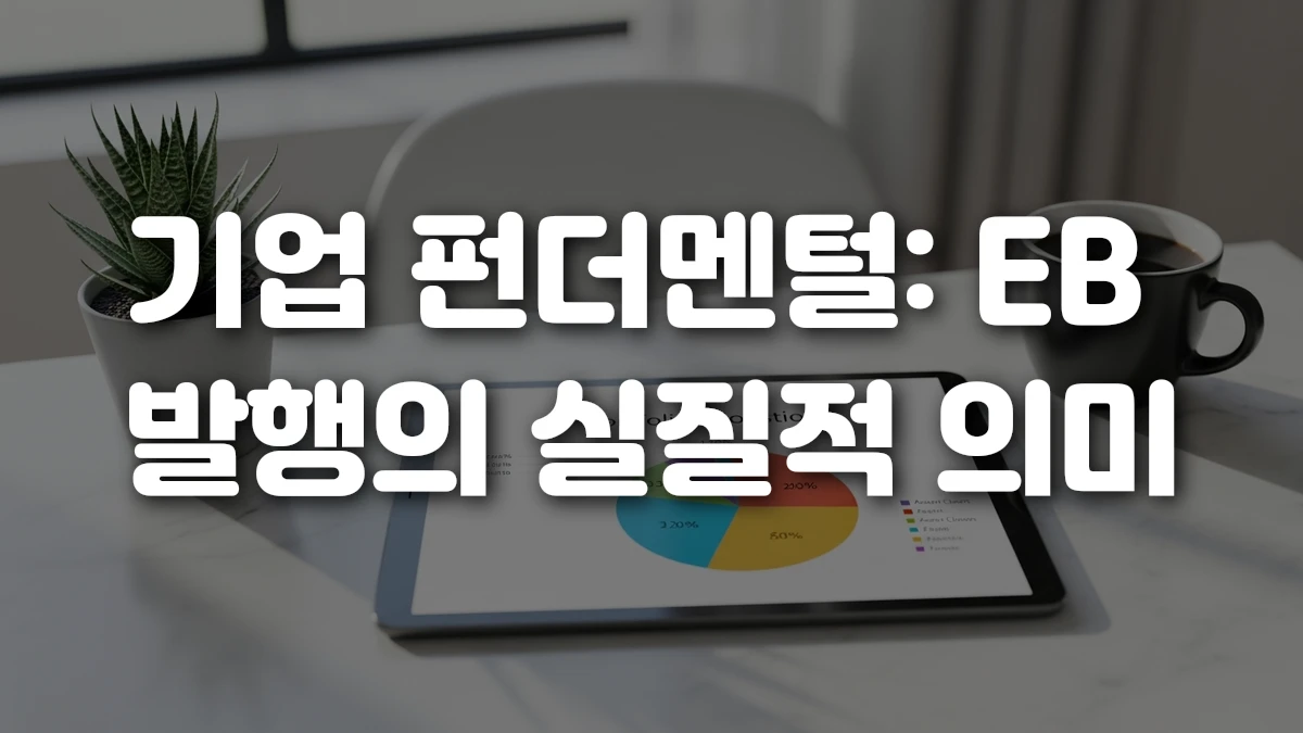 기업 펀더멘털 EB 발행의 실질적 의미