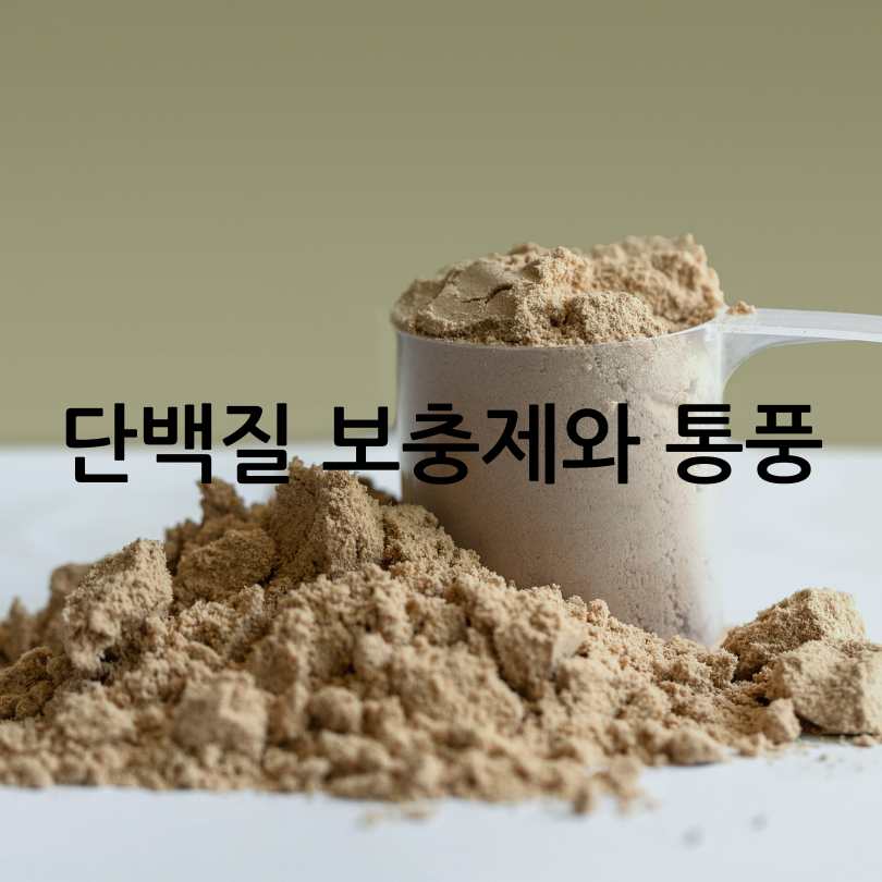 통풍과단백질보충제관계