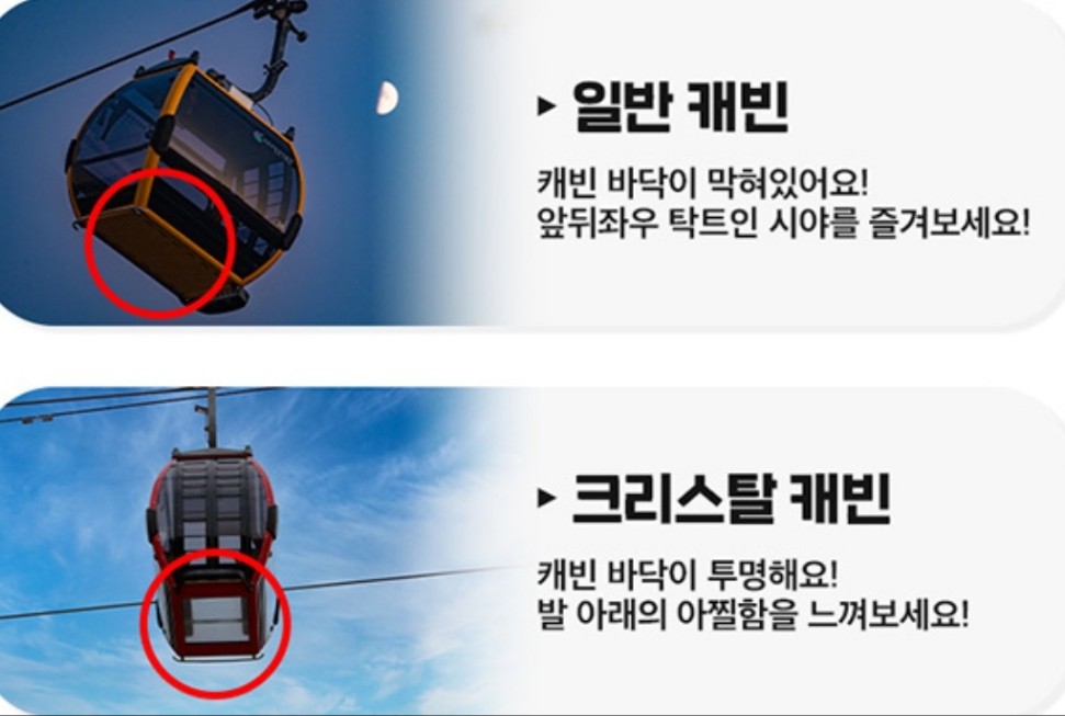 청풍호반-케이블카-예약