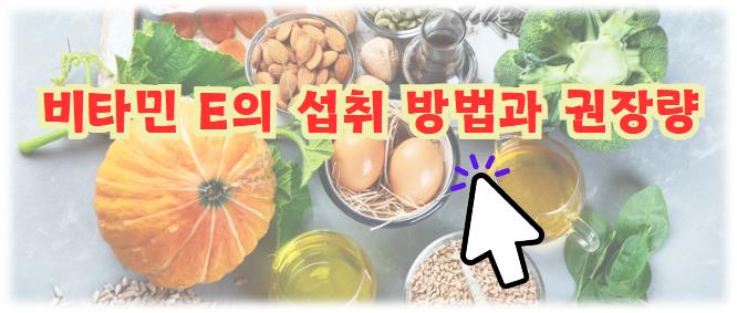 비타민 E의 섭취방법과 권장량은?