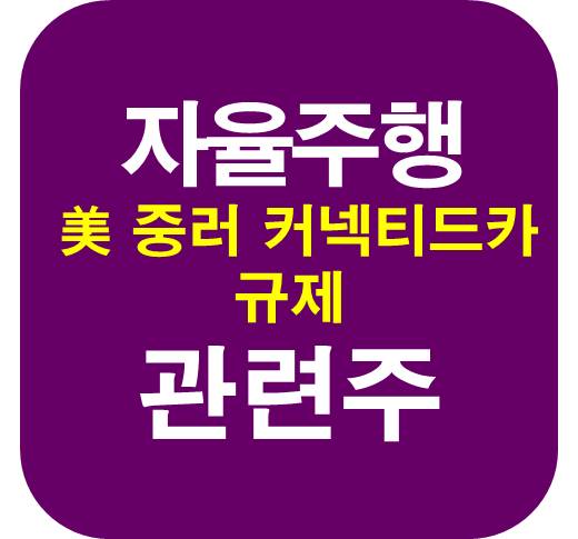 자율주행-관련주-미국-규제