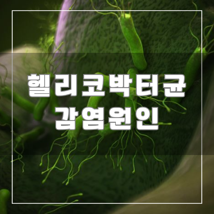 헬리코박터균 감염원인