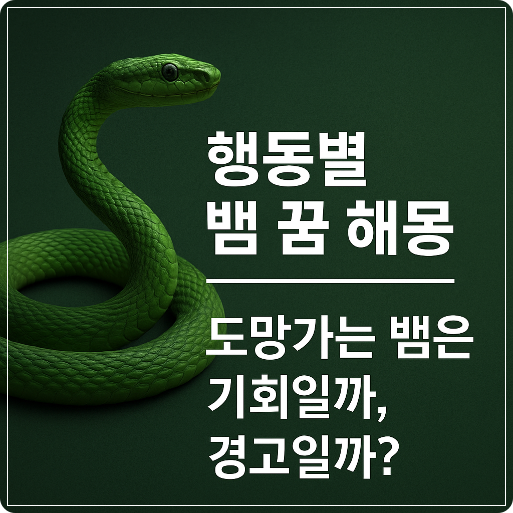 행동별 뱀 꿈 해몽 이미지