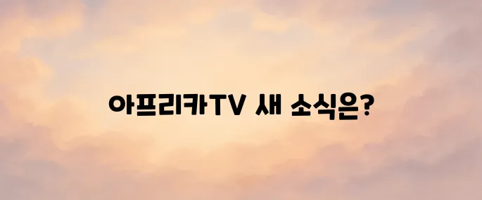 아프리카TV 홈페이지 바로가기 및 주요 기능 안내 (2025 최신)