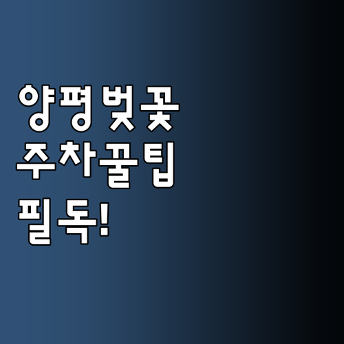 2026년 양평 벚꽃 축제 일정 주차..