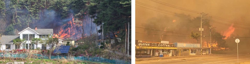 강릉 산불 확산