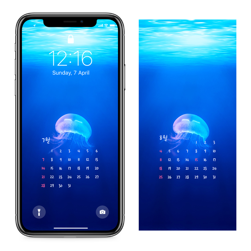 03 수면 아래 해파리 AB - 2024년7월 아이폰달력배경화면