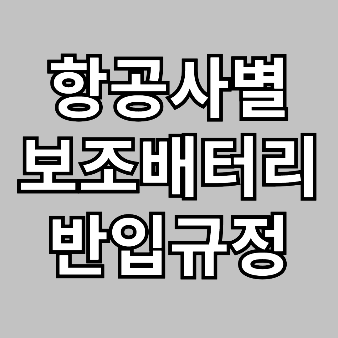 2025 비행기 보조배터리 반입기준