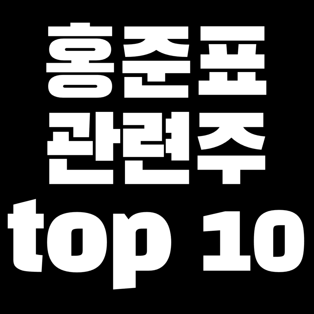 홍준표 관련주 top10
