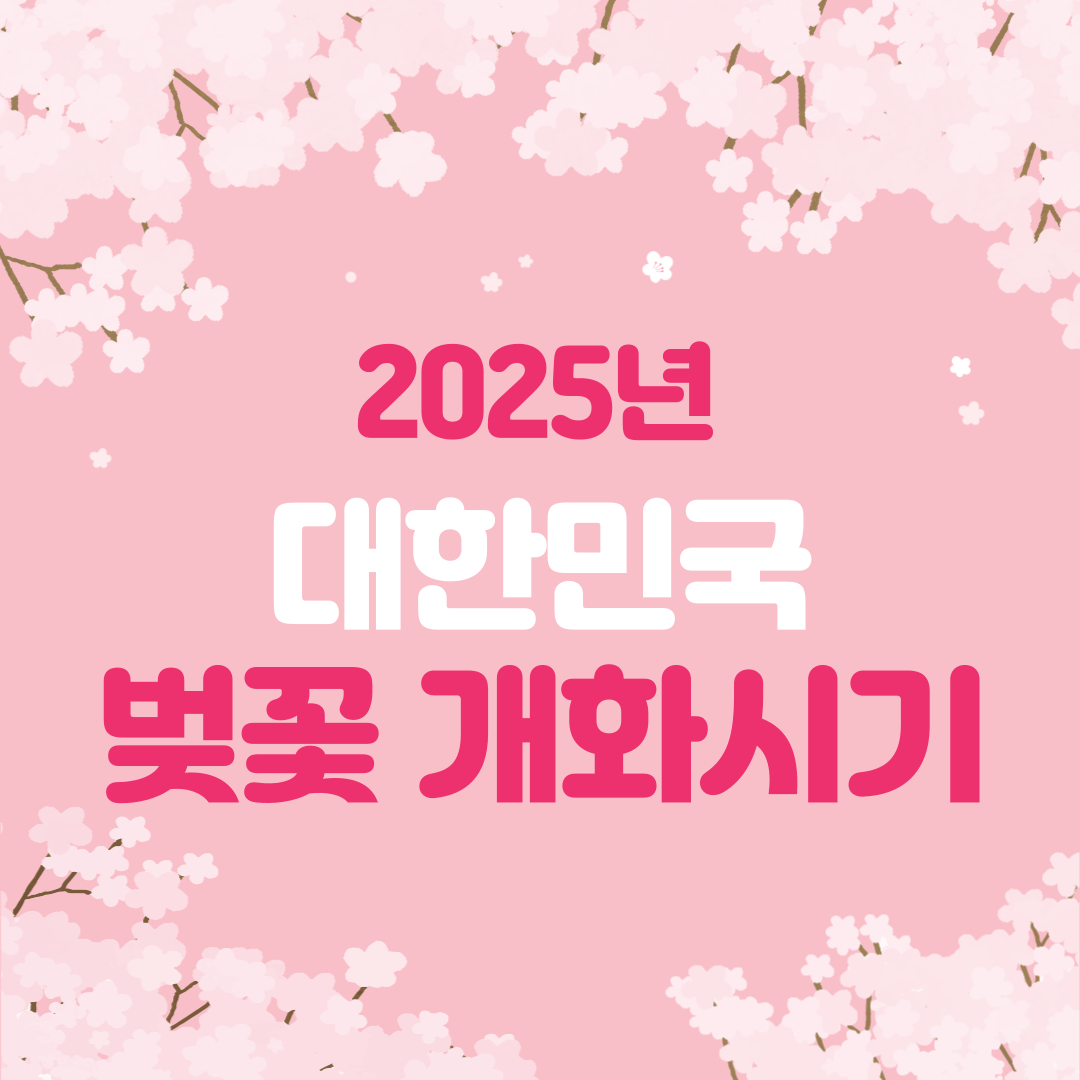 2025년-벚꽃-개화시기