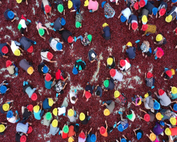 괴산 고추축제_19