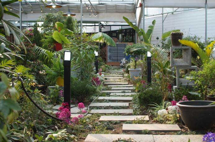 생생정보마당 식물체험농장