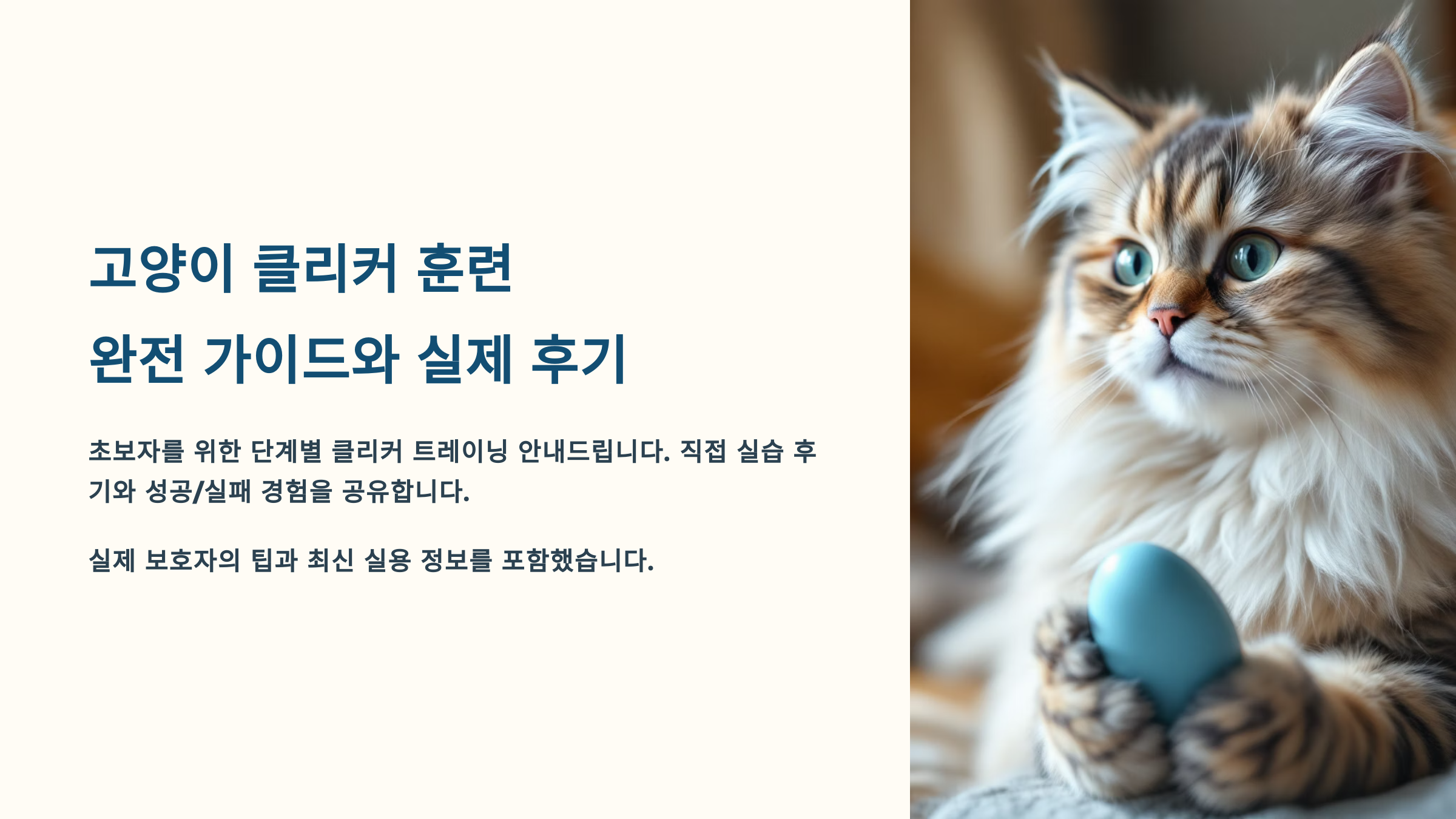 고양이 클리커 훈련 실제 후기와 완전 가이드