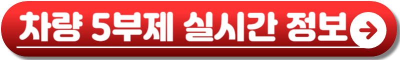 차량 5부제