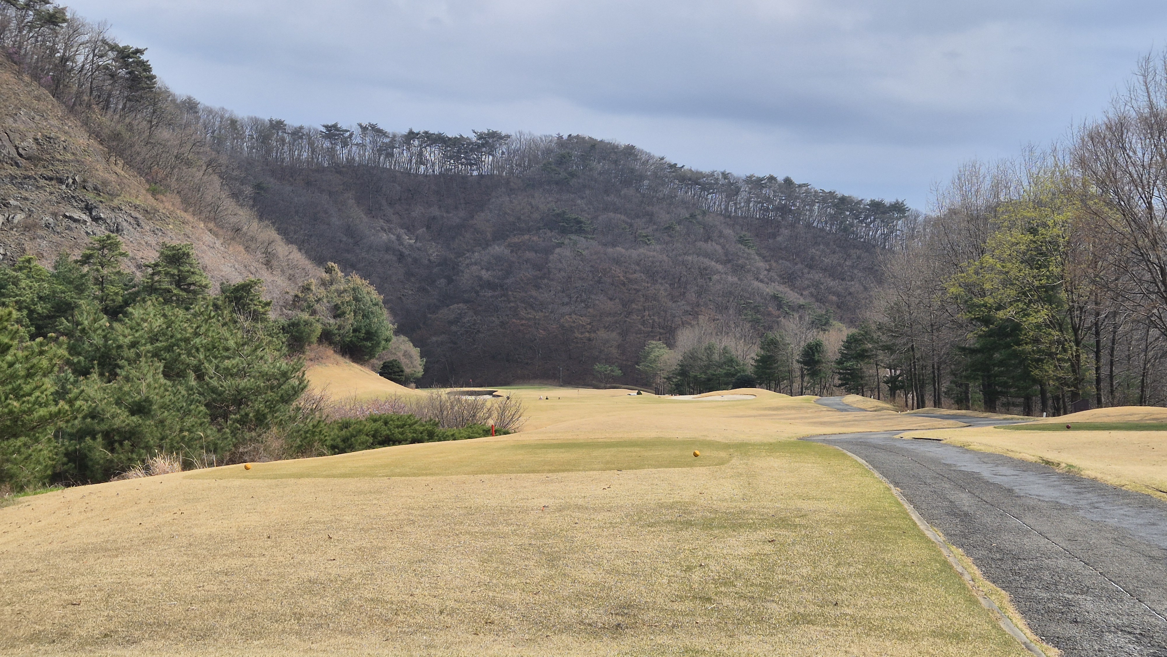 안성베네스트gc 동-남 코스 사진 및 공략 정보