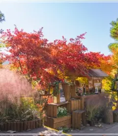 화담숲-예약하기-입장료-운영시간