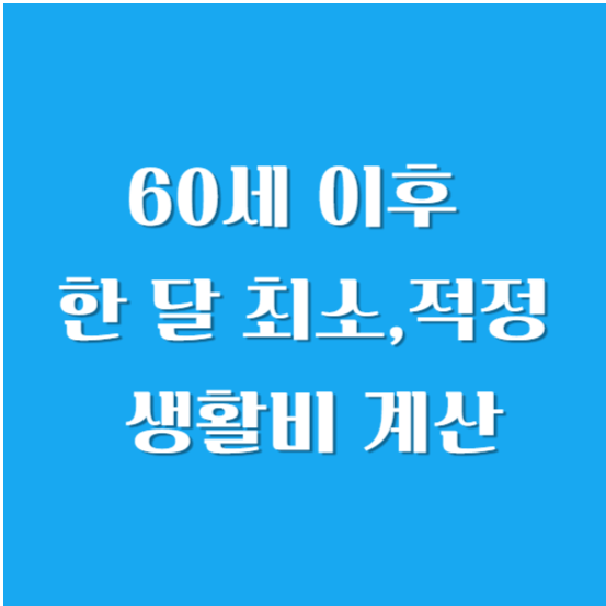 60세 이후 한 달 최소,적정 생활비 계산