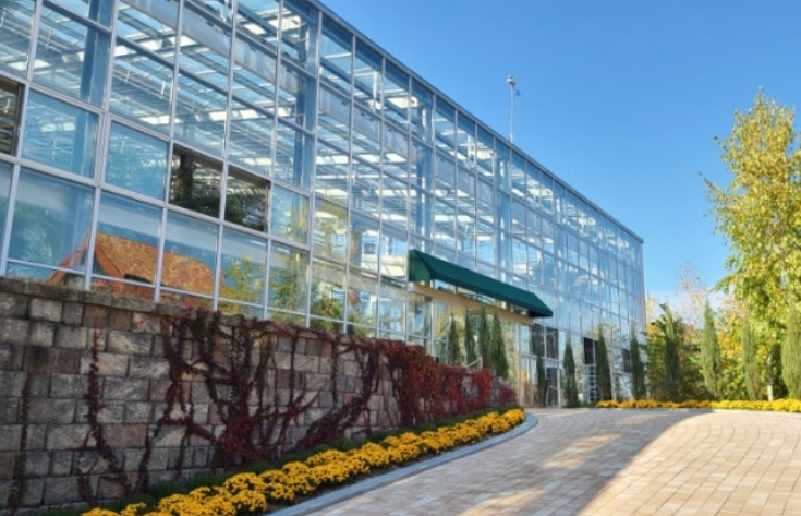 용인/새로운/인기/핫플/용/자작나/숲