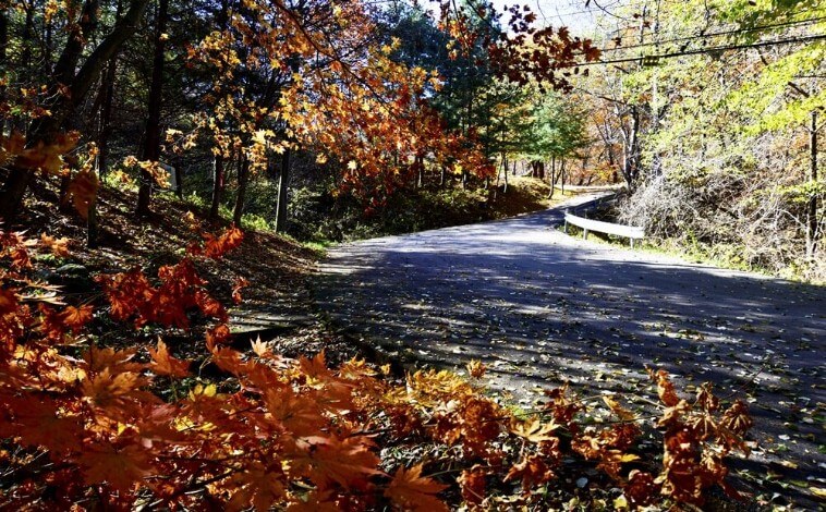 치악산자연휴양림