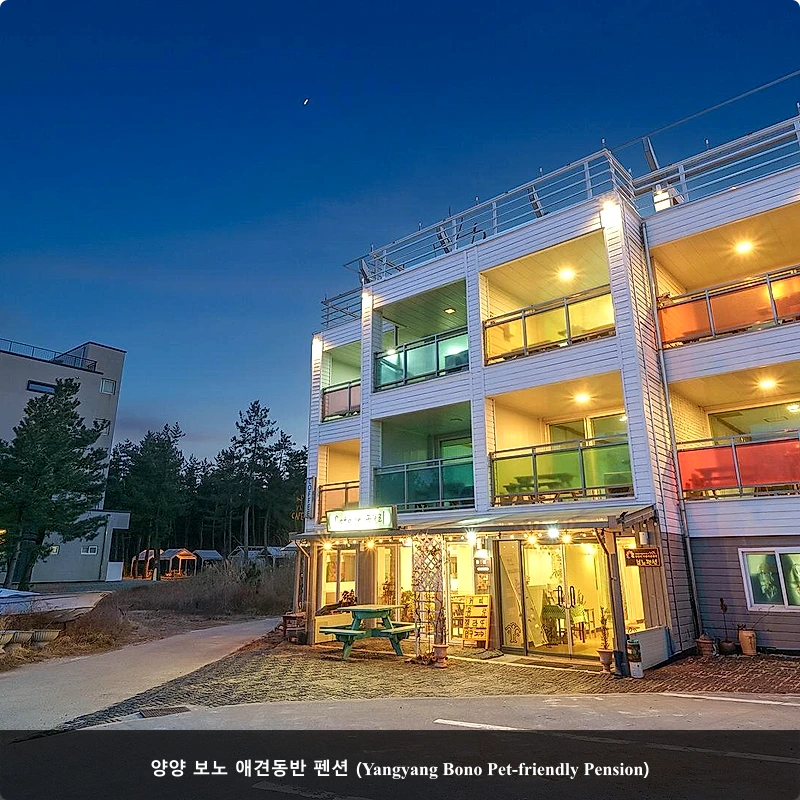 양양 보노 애견동반 펜션 (Yangyang Bono Pet-friendly Pension)_3