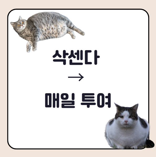 위고비, 마운자로, 삭센다 차이 및 비교