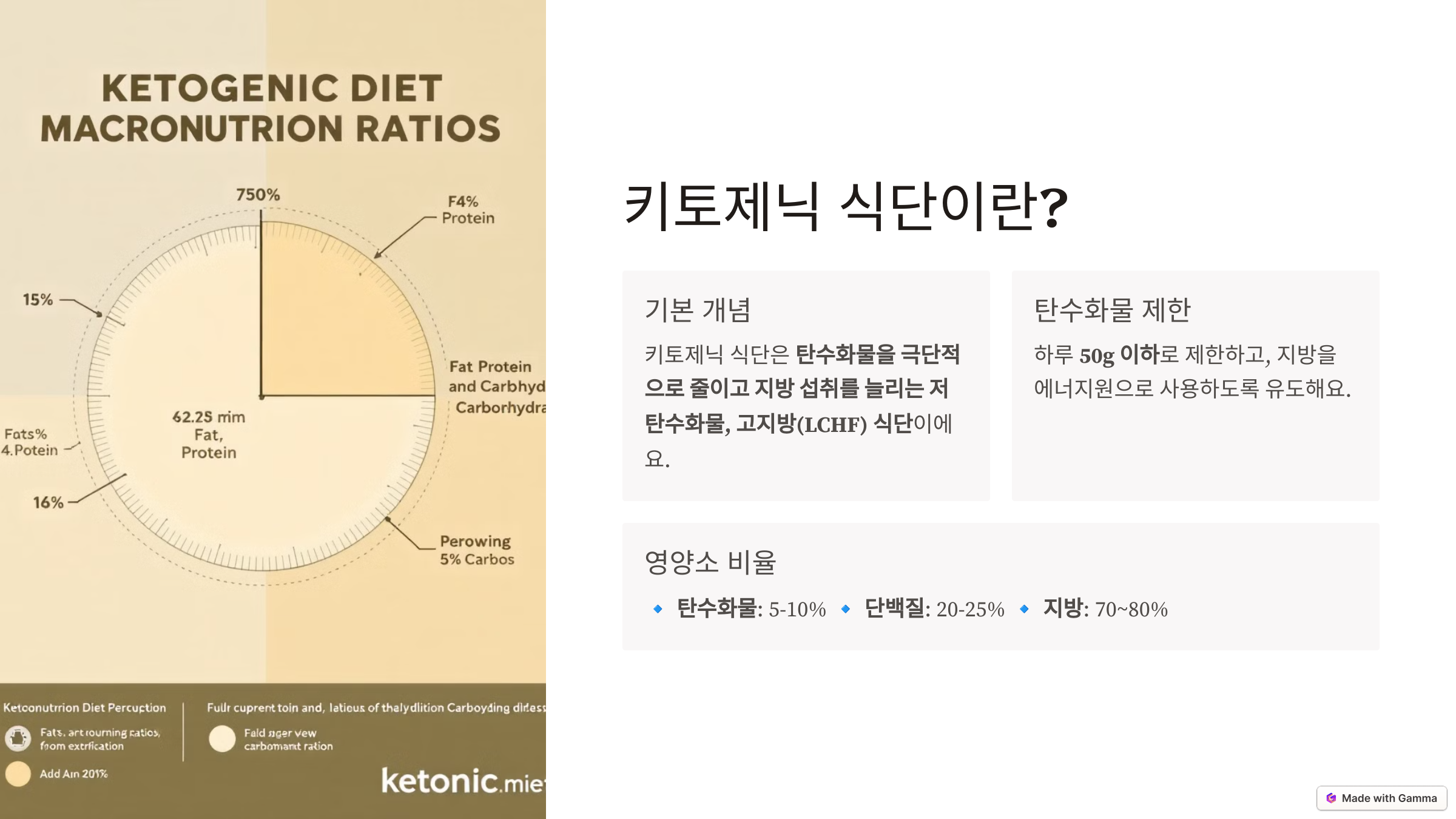 키토제닉 식단2