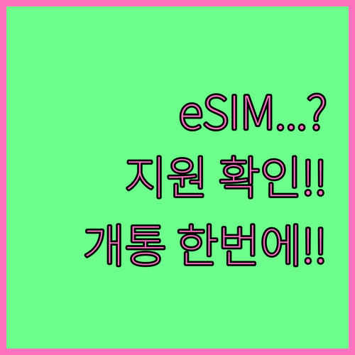 eSIM 지원 확인부터 개통까지 한 ..