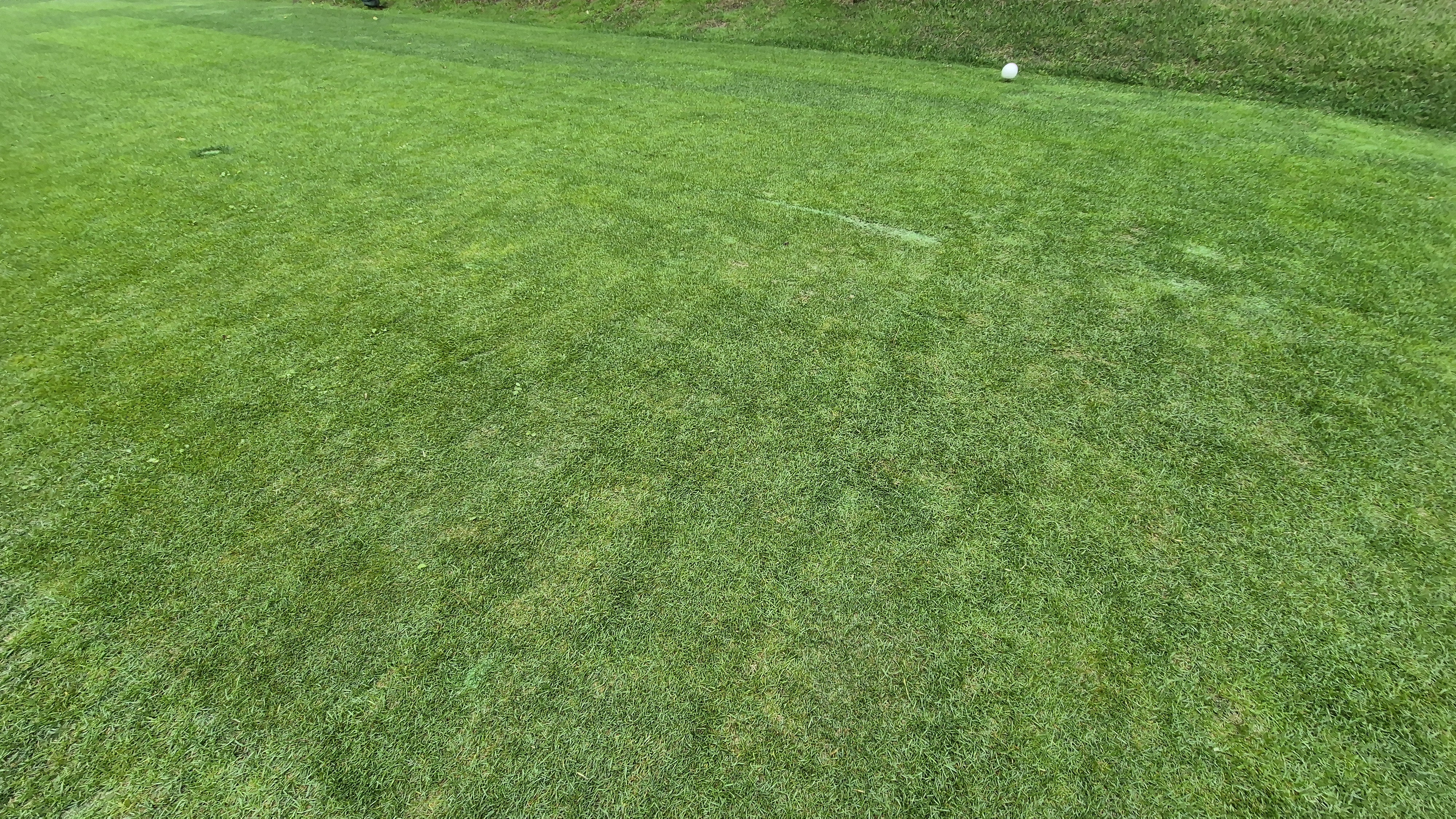 뉴스프링빌cc 라운드 후기