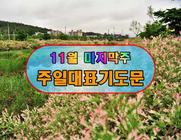 11월 마지막 주 대표 기도문