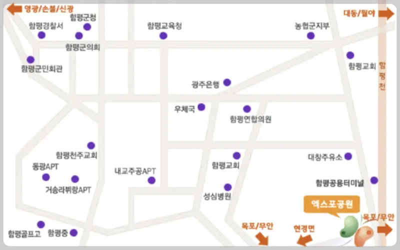 함평 국화축제, 대한민국 국향대전 가는 길