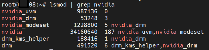 lsmod &#124; grep nvidia