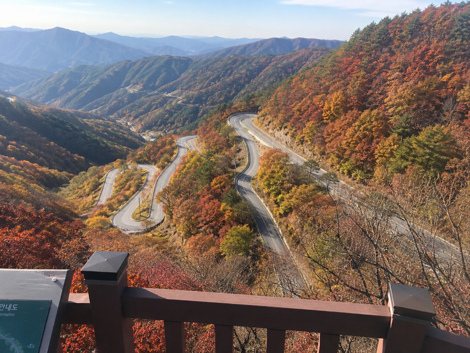충북 보은 말티재전망대에서 바라본 굽이굽이 도로와 단풍 전망 풍경