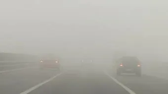 안개 주의 가시거리 운전 속도 헤드라이트 사용법_15