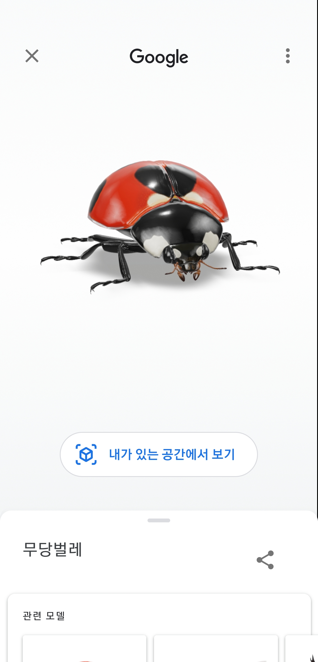 무당벌레 3D