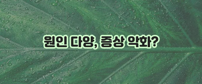 혈관운동성 비염 원인과 증상 꼭 알아야 합니다
