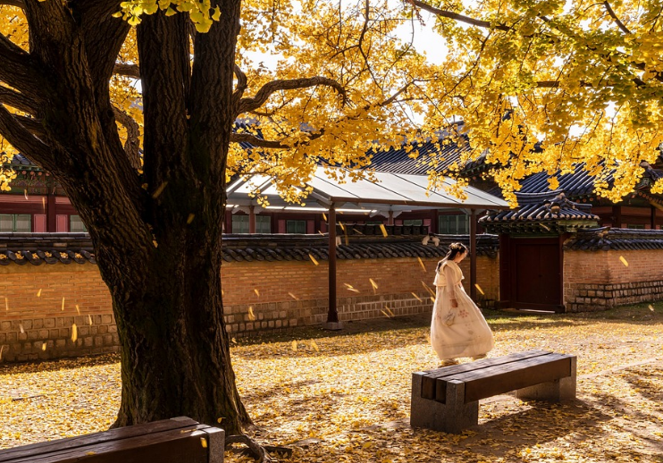 조선시대 달력으로 본 24절기와 명절의 관계