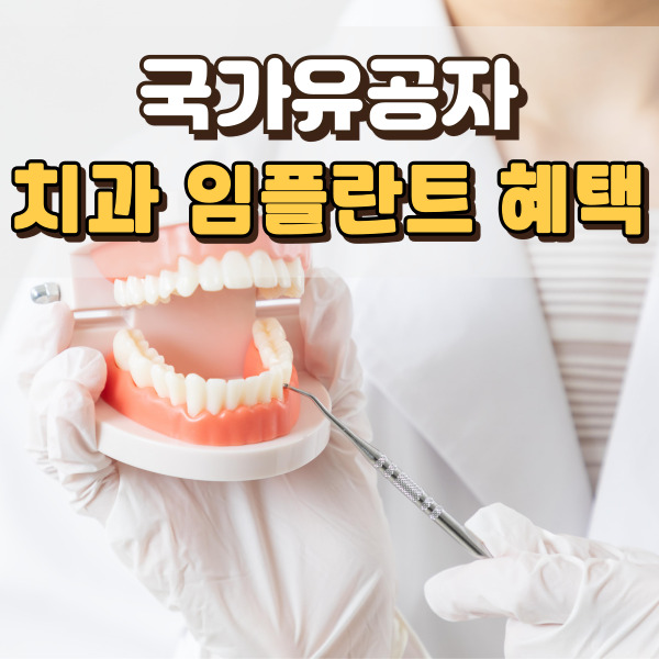 치아 모형 이미지에요.