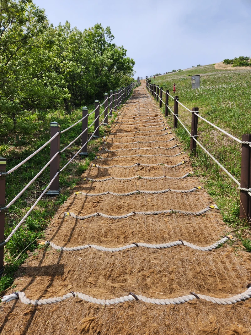 새별오름-경사-시작점