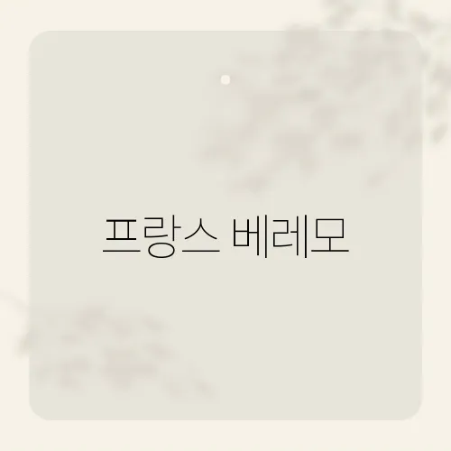 프랑스 베레모, 원조는 바스크라는데?