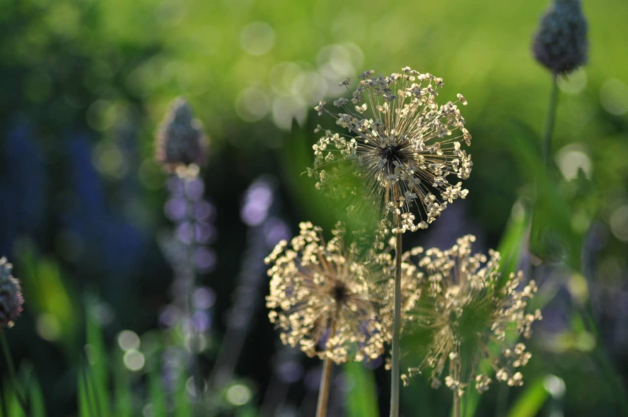 여름의 끝, 그리고 말과 소 이야기 - 인생의 물살 앞에 서다