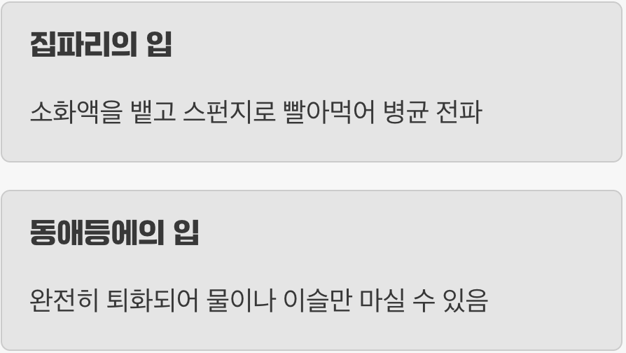 비밀은 바로 '퇴화된 입'