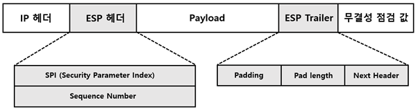 ESP 프로토콜의 헤더