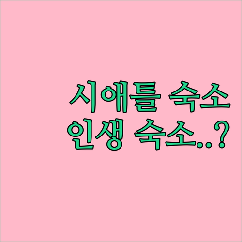 시애틀 숙소 추천 베스트 5곳 위치부..