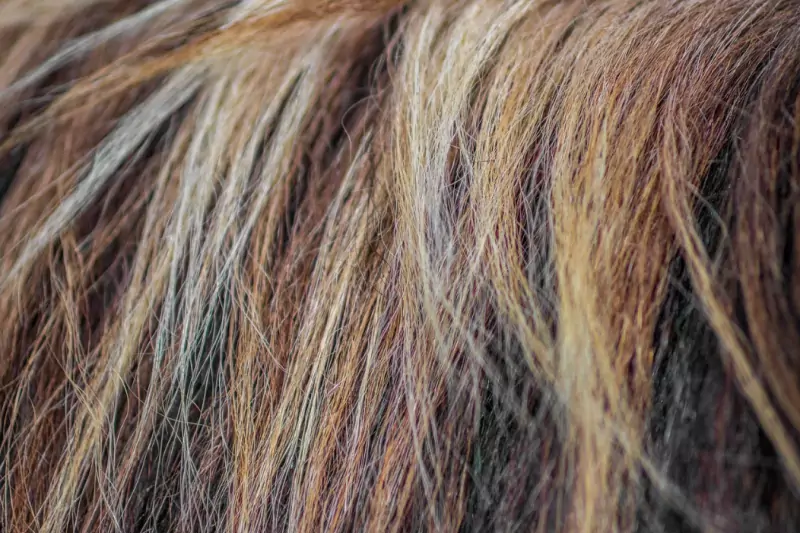 탈모 예방 머리 감는 습관 - 4