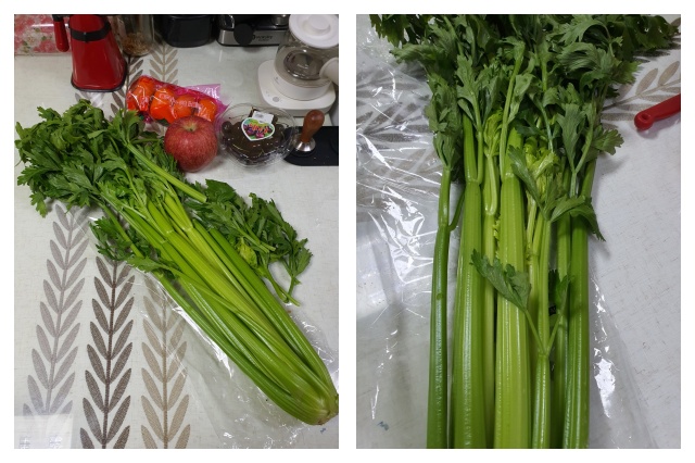 몸에 이로운 성분이 많은 셀러리